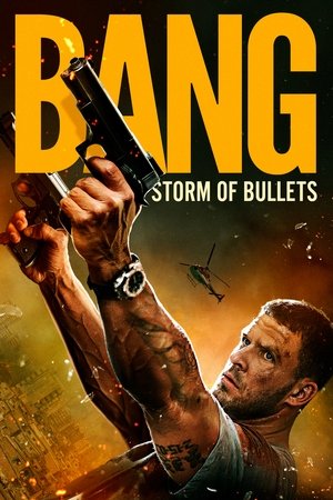 Постер: Bang