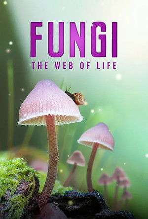 Постер: Fungi: The Web of Life