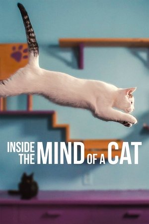Постер: Inside the Mind of a Cat