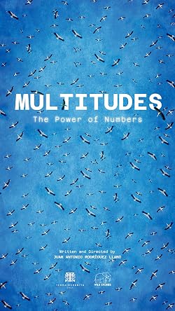 Постер: Multitudes: The Power of Numbers
