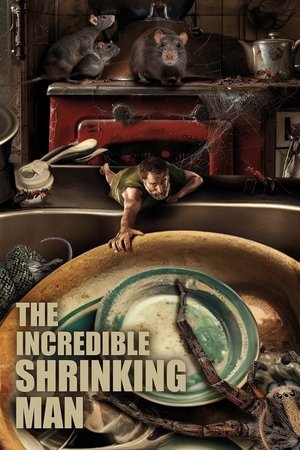 Постер: The Shrinking Man