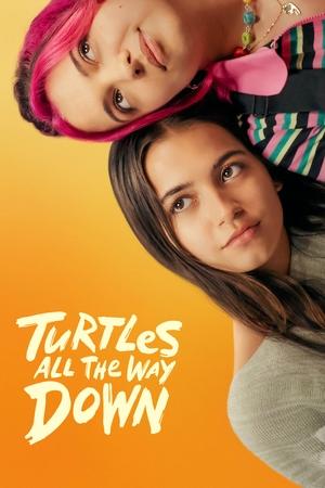 Постер: Turtles All the Way Down