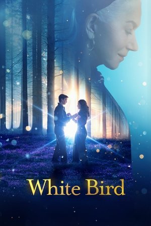 Постер: White Bird