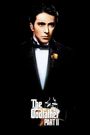 Постер: The Godfather Part II