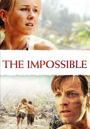 Постер: The Impossible
