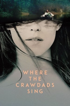 Постер: Where the Crawdads Sing