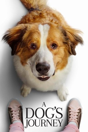 Постер: A Dog's Journey