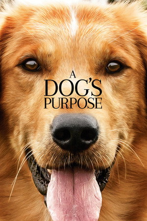 Постер: A Dog's Purpose