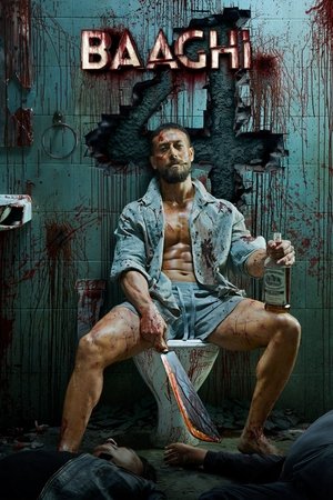 Постер: Baaghi 4