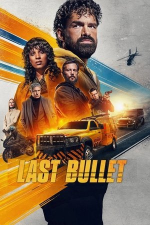 Постер: Last Bullet