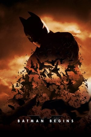 Постер: Batman Begins