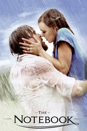 Постер: The Notebook