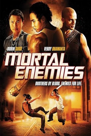 Постер: Mortal Enemies