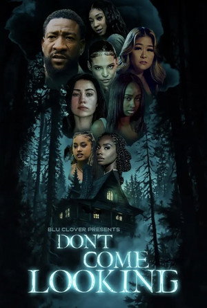 Постер: Don't Come Looking