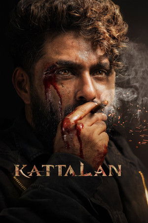 Постер: Kattalan