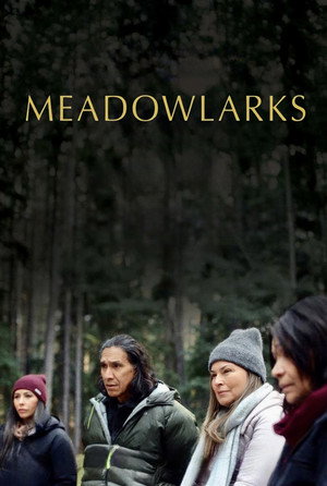 Постер: Meadowlarks